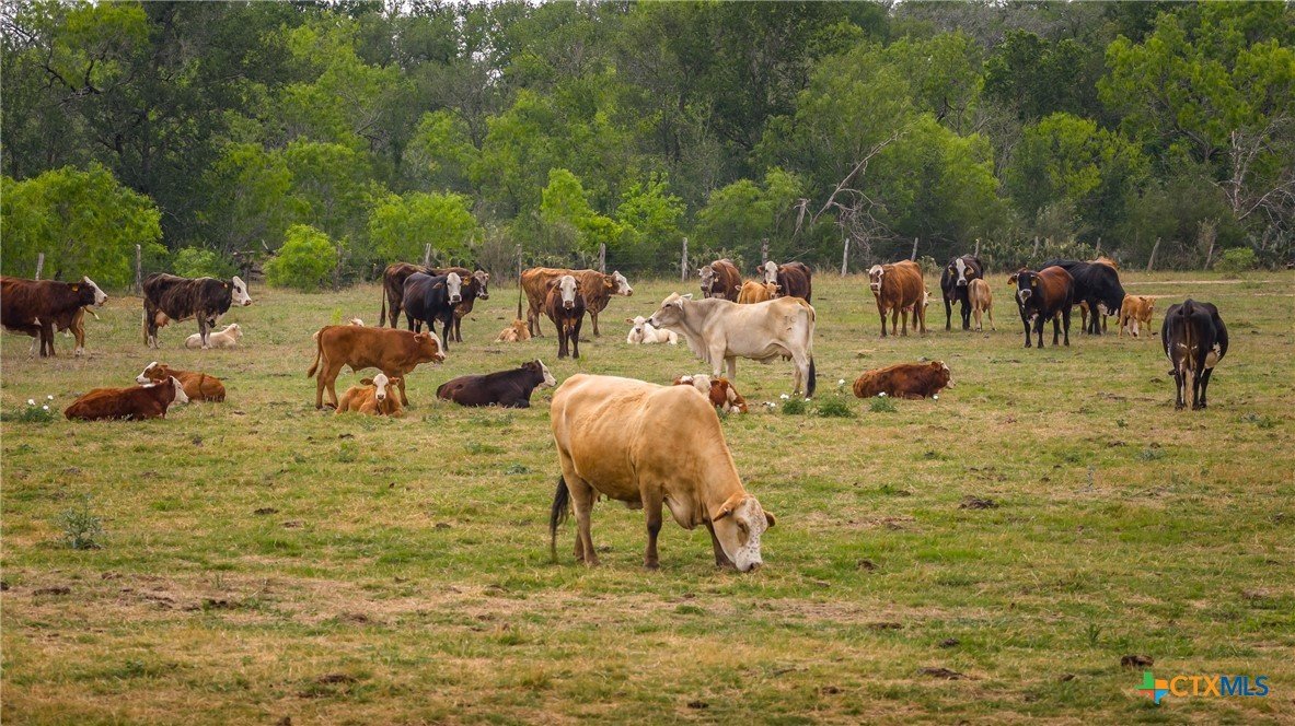 0 Fm 77 Listing Cover Image