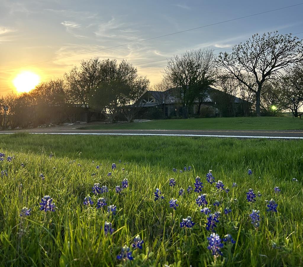 1201 Fm 813 Listing Cover Image