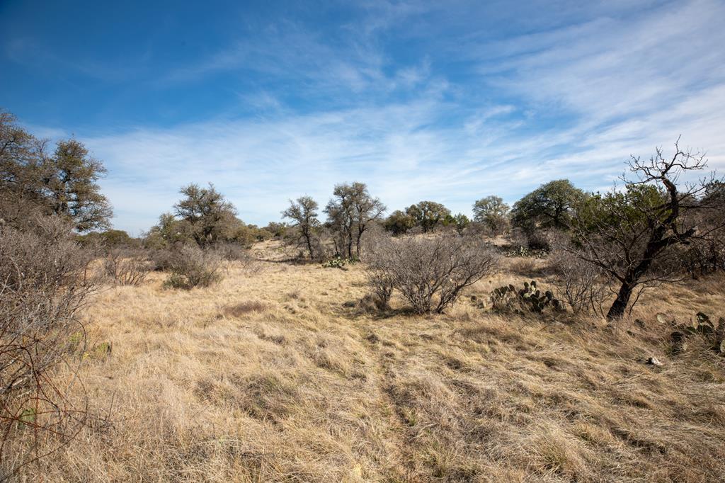 16719 Lot 2 Salt Branch Loop Listing Cover Image