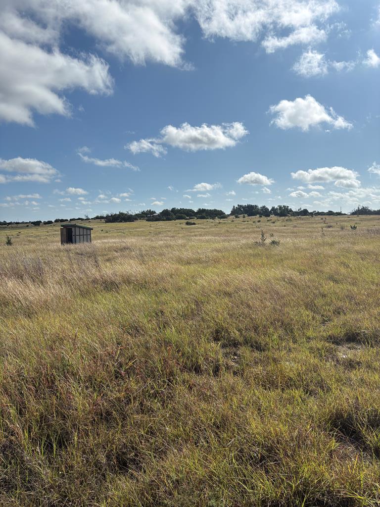 275 Painted Pony Rd Listing Cover Image