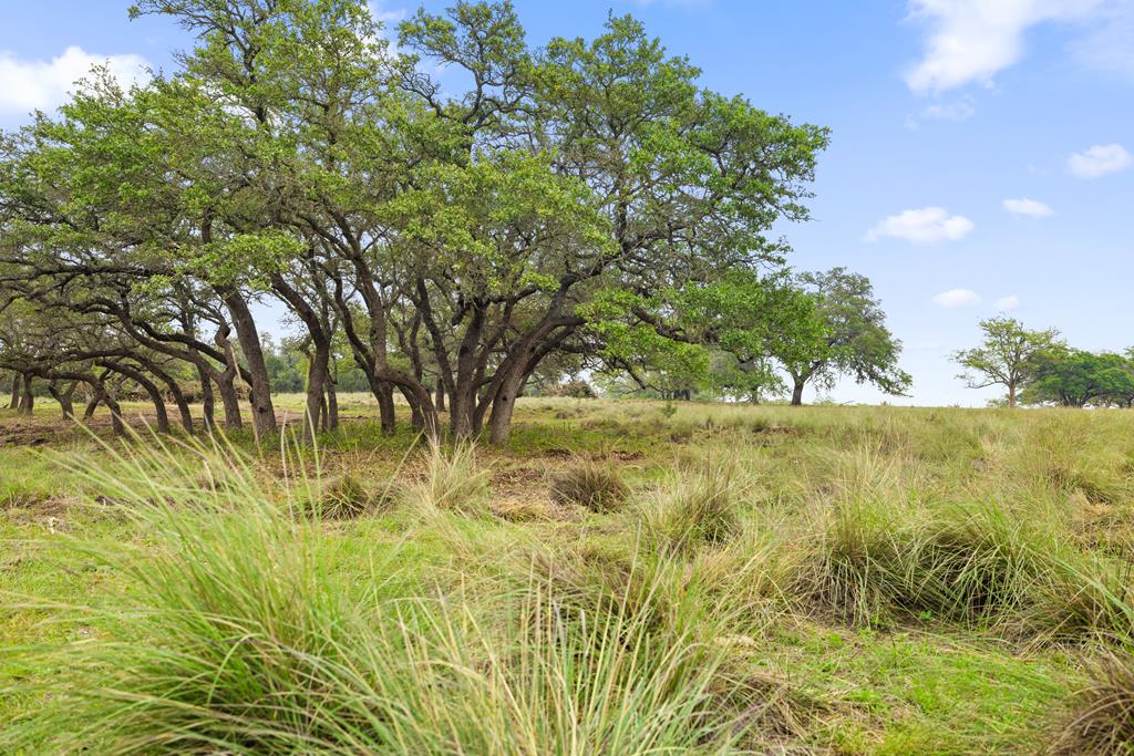 4112 Schumann Rd Listing Cover Image