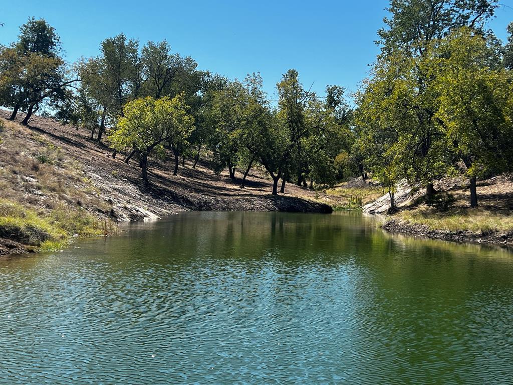 481 Living Water Ranch Rd. Listing Cover Image