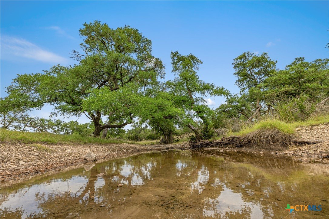 65 Miles Ln Listing Cover Image