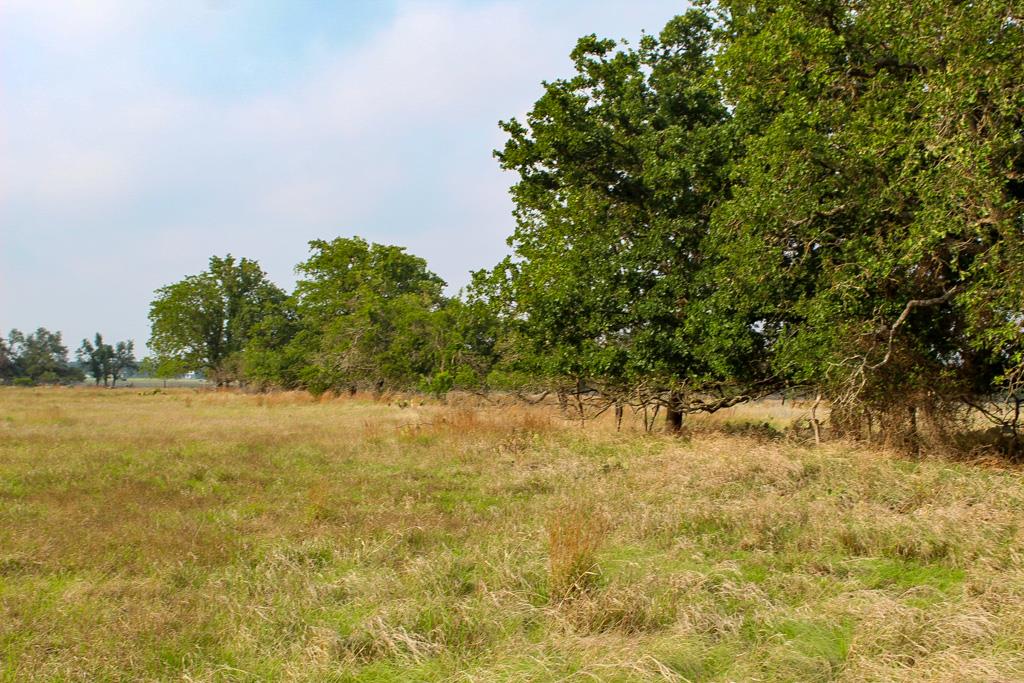 7&8 Other Listing Cover Image