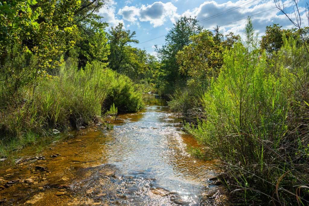 8253 Fm 1888 Listing Cover Image