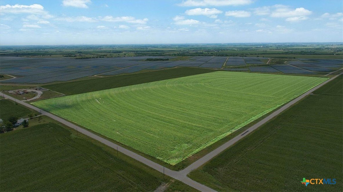 null Manda Carlson Listing Cover Image