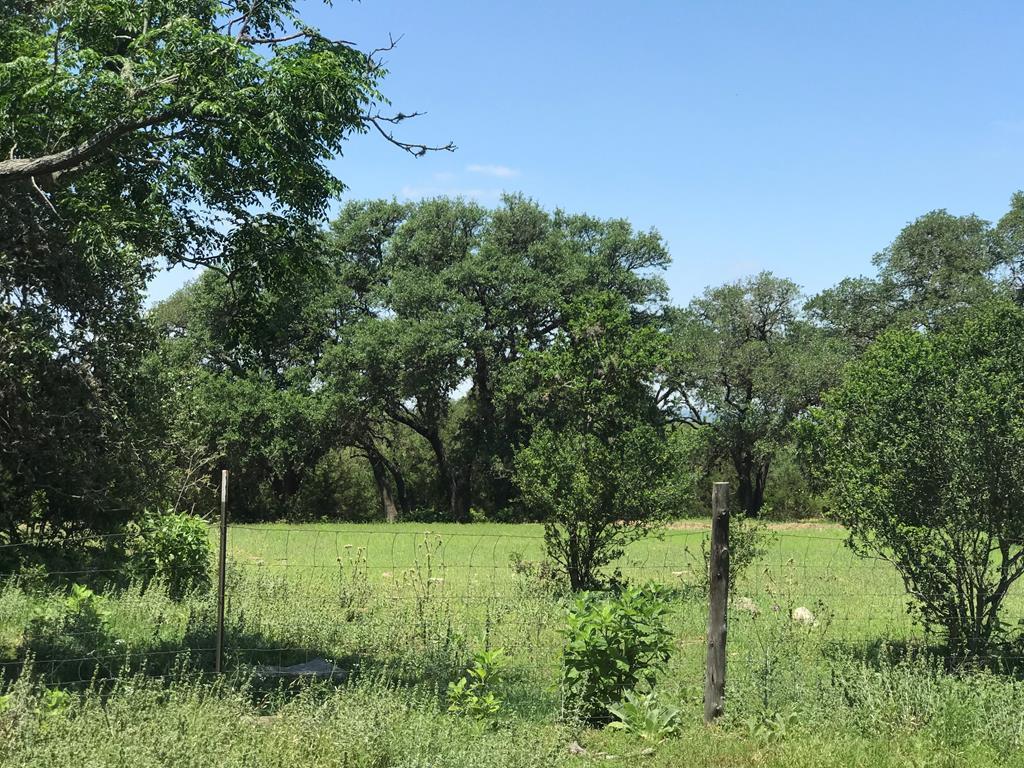 Tba Rusty Acres Blanco, TX 78606 75022