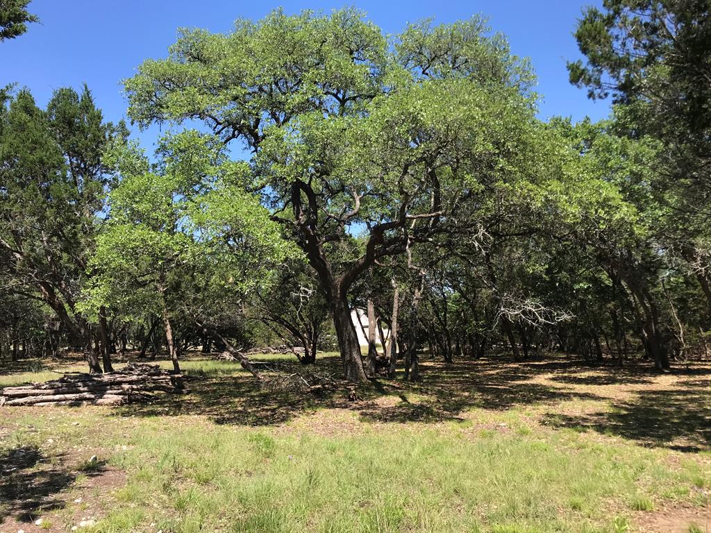 Tbd Cielo Springs Dr Blanco, TX 78606 79196