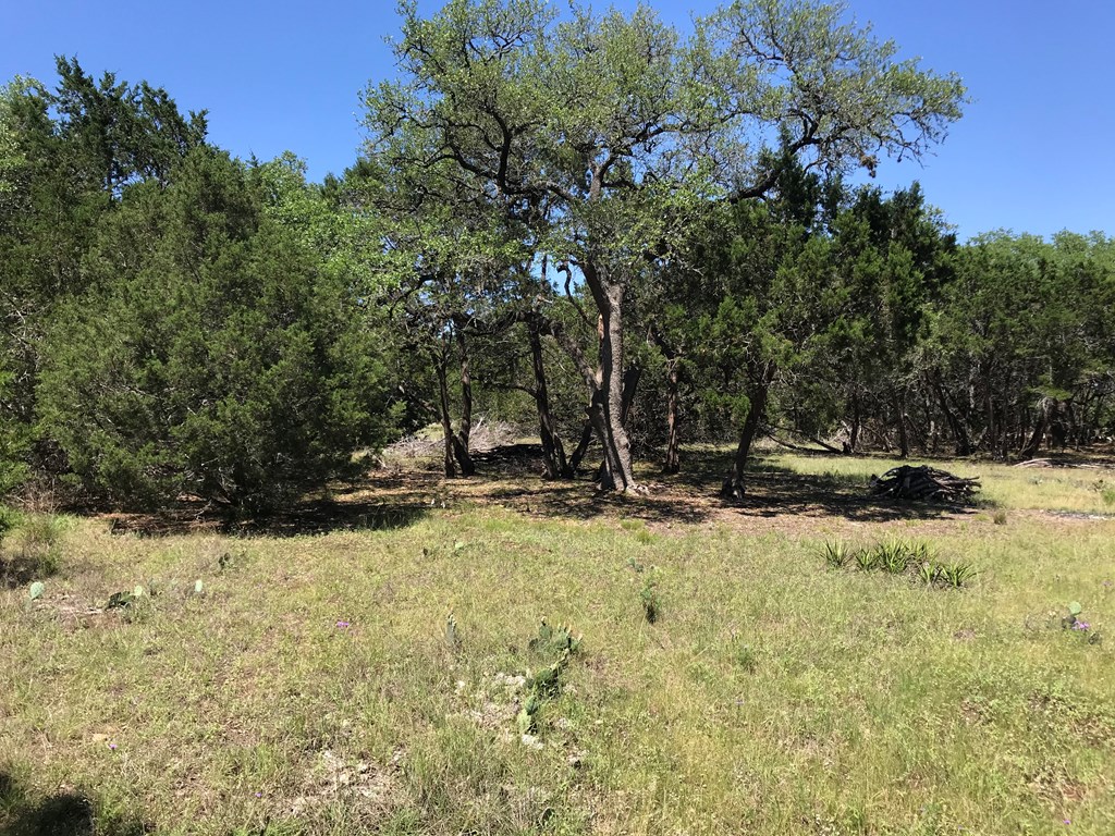 Tbd Cielo Springs Dr Blanco, TX 78606 79196