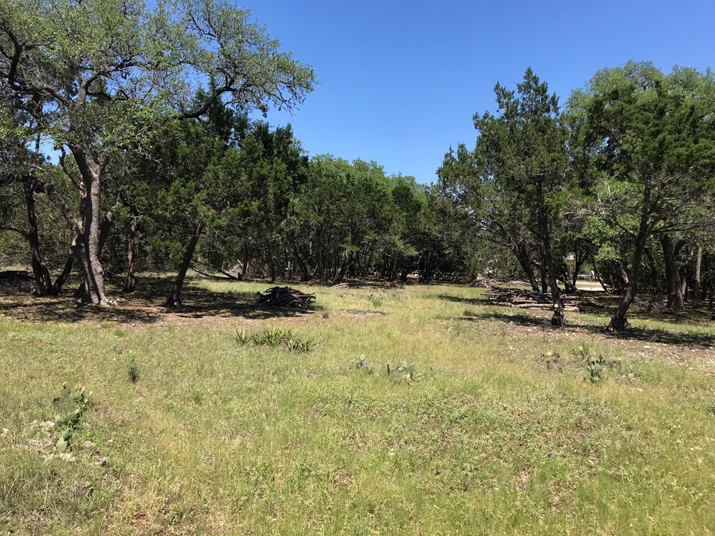 Tbd Cielo Springs Dr Blanco, TX 78606 79196