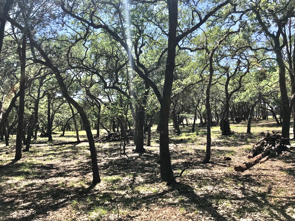 Tbd Cielo Springs Dr Blanco, TX 78606 79196