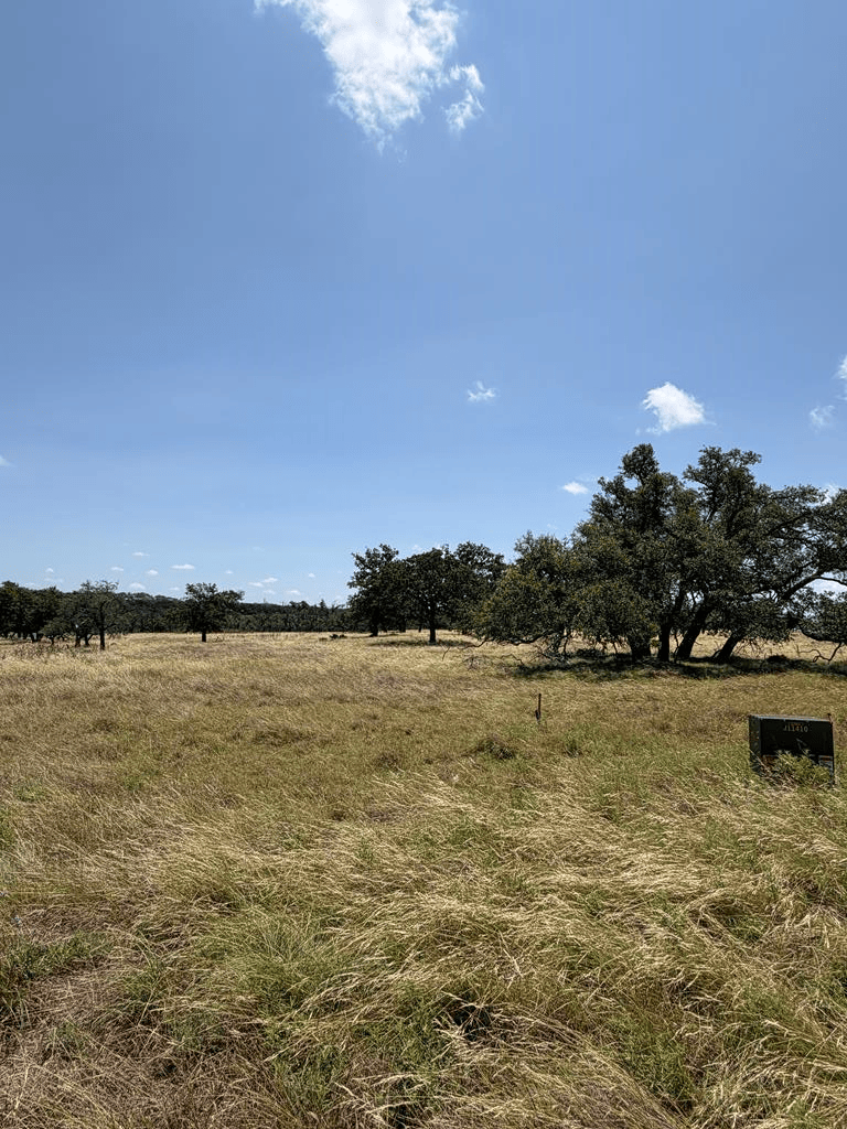 THRIVING OAK DR Thriving Oak Dr. Listing Cover Image